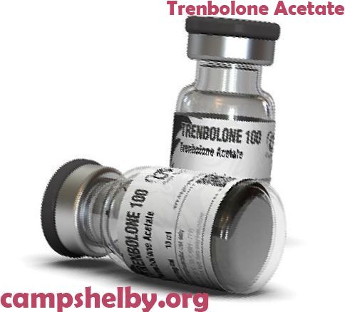 Buy Trenbolone 100 1 vial with delivery in USA